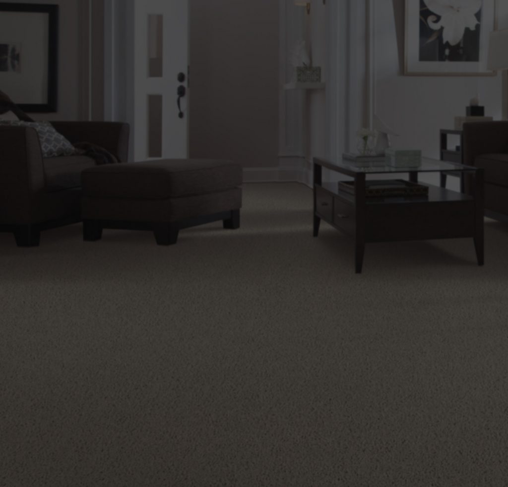 Grey Carpet flooring | IQ Floors