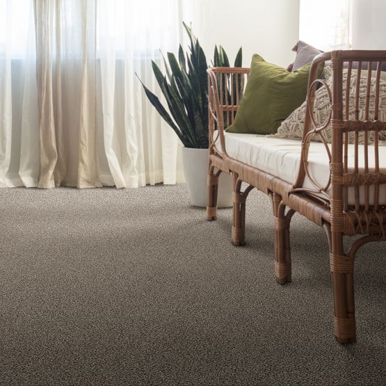 Carpet flooring | IQ Floors