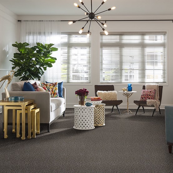 Carpet Flooring | IQ Floors