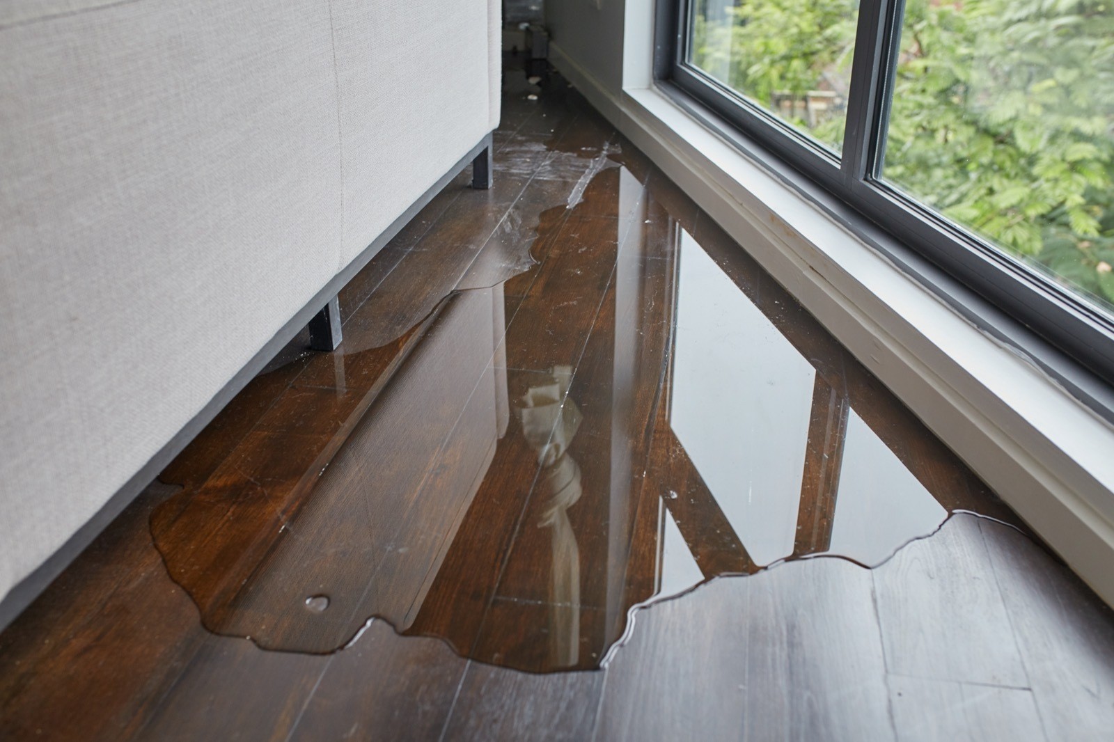 Water spread on floor | IQ Floors