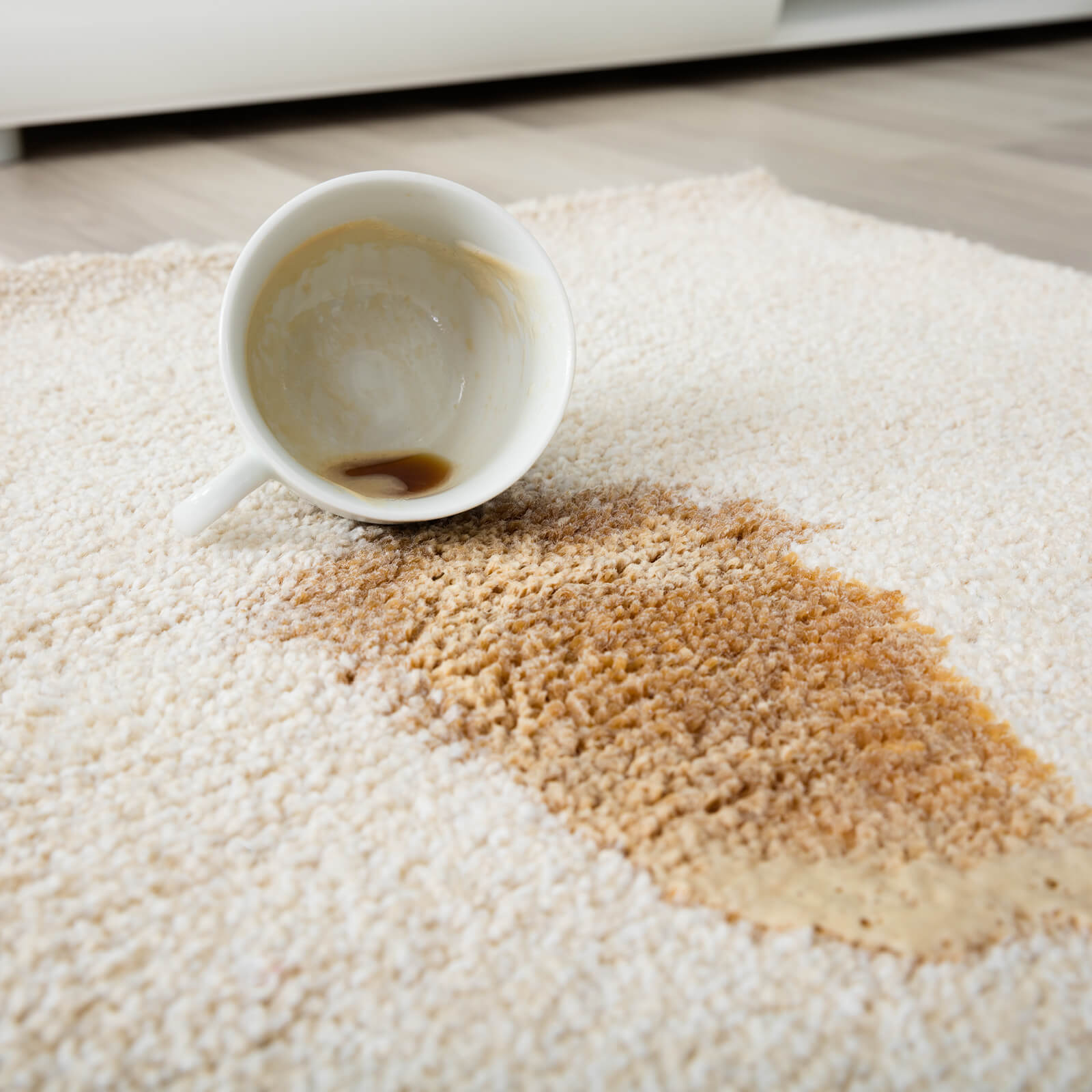 Coffee spilled on soft area rug | IQ Floors