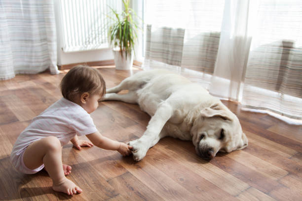 Kids flooring | IQ Floors